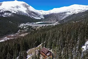 232 Goldfinch Pl, Alma, CO 80420 - Photo 3