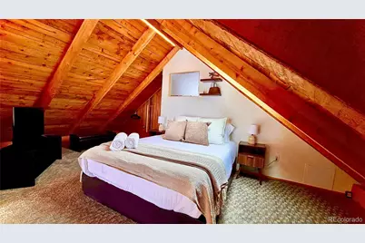 232 Goldfinch Place, Alma, CO 80420 - Photo 25