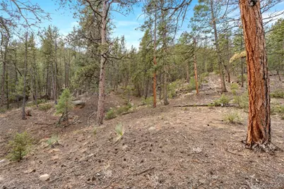 29004 Amerind Springs, Pine, CO 80470 - Photo 43