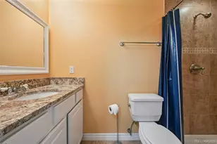 1135 Riddlewood Ln, Highlands Ranch, CO 80129 - Photo 21