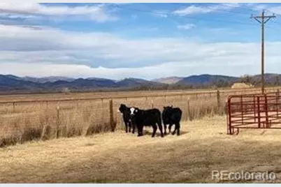14798 N 115th Street, Longmont, CO 80504 - Photo 19