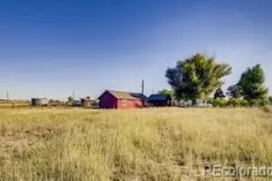 14798 N 115th St, Longmont, CO 80504 - Photo 5