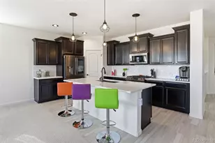 4465 McMurdo Ct, Castle Rock, CO 80108 - Photo 9