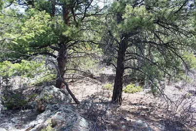 00 County Rd 308, Idaho Springs, CO 80436 - Photo 13