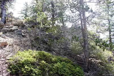 00 County Rd 308, Idaho Springs, CO 80436 - Photo 11