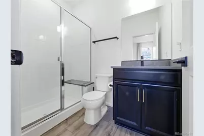 33 Felicity Loop, Castle Rock, CO 80109 - Photo 21