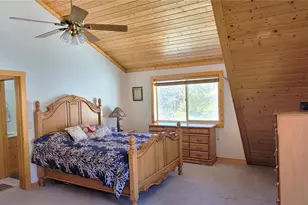 1321 Bristlecone Rd, Guffey, CO 80820 - Photo 17