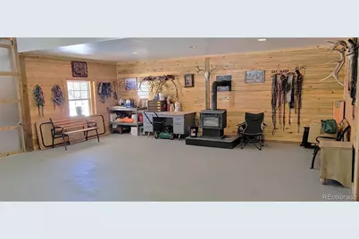 1321 Bristlecone Road, Guffey, CO 80820 - Photo 29