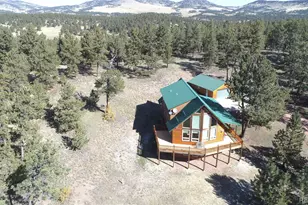 1321 Bristlecone Rd, Guffey, CO 80820 - Photo 41