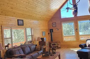 1321 Bristlecone Rd, Guffey, CO 80820 - Photo 9