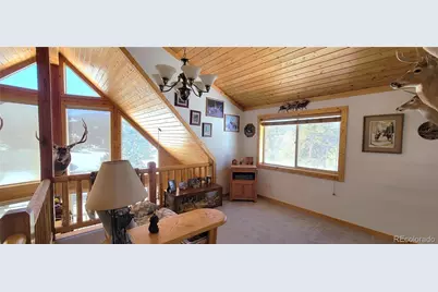 1321 Bristlecone Road, Guffey, CO 80820 - Photo 15