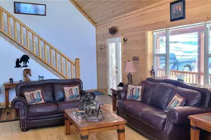 1321 Bristlecone Rd, Guffey, CO 80820 - Photo 5