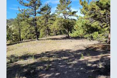 1321 Bristlecone Road, Guffey, CO 80820 - Photo 39