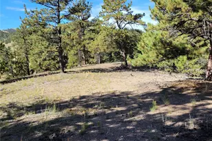 1321 Bristlecone Rd, Guffey, CO 80820 - Photo 39