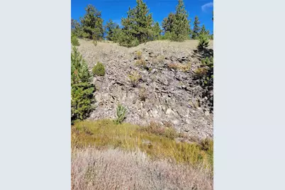 1321 Bristlecone Road, Guffey, CO 80820 - Photo 47