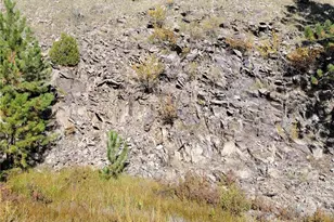 1321 Bristlecone Rd, Guffey, CO 80820 - Photo 47