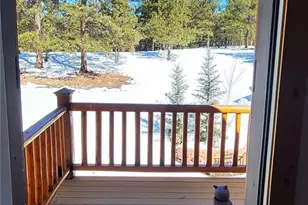 1321 Bristlecone Rd, Guffey, CO 80820 - Photo 19