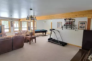 1321 Bristlecone Rd, Guffey, CO 80820 - Photo 13