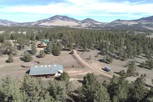 1321 Bristlecone Rd, Guffey, CO 80820 - Photo 33