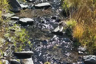 1321 Bristlecone Rd, Guffey, CO 80820 - Photo 49