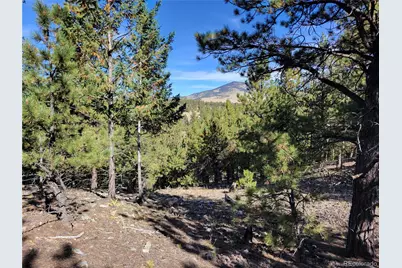 1321 Bristlecone Road, Guffey, CO 80820 - Photo 35