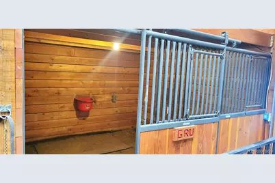 1321 Bristlecone Road, Guffey, CO 80820 - Photo 31