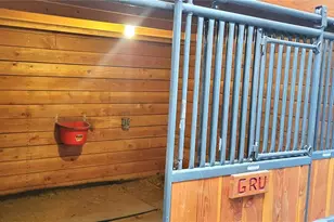 1321 Bristlecone Rd, Guffey, CO 80820 - Photo 31