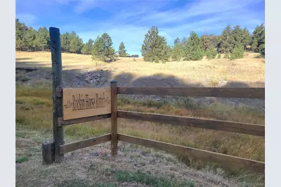 1321 Bristlecone Road, Guffey, CO 80820 - Photo 43