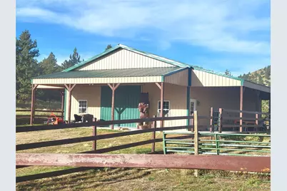 1321 Bristlecone Road, Guffey, CO 80820 - Photo 25