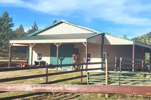 1321 Bristlecone Rd, Guffey, CO 80820 - Photo 25