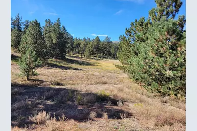 1321 Bristlecone Road, Guffey, CO 80820 - Photo 45