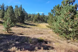 1321 Bristlecone Rd, Guffey, CO 80820 - Photo 45