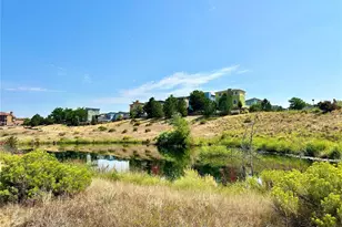 3332 Cranston Cir, Highlands Ranch, CO 80126 - Photo 7