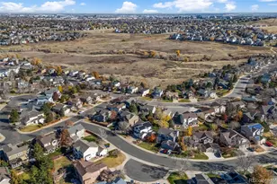 10518 Tigers Eye, Lone Tree, CO 80124 - Photo 41