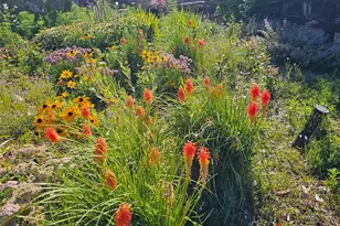 11551 Bent Oaks St, Parker, CO 80138 - Photo 43