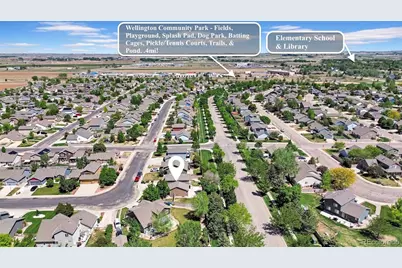 3133 Firewater Lane, Wellington, CO 80549 - Photo 35