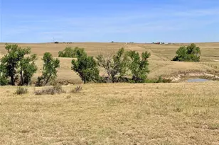 8557 Hwy 86, Kiowa, CO 80117 - Photo 19