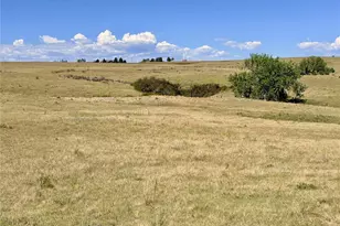 8557 Hwy 86, Kiowa, CO 80117 - Photo 17