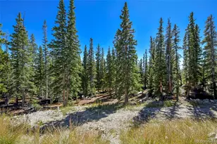 1517 Mountain View Dr, Fairplay, CO 80440 - Photo 31