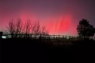 13786 Travois Trail, Parker, CO 80138 - Photo 47