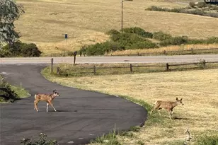 13786 Travois Trail, Parker, CO 80138 - Photo 25