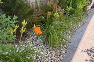 7825 E Kettle Ave, Centennial, CO 80112 - Photo 39