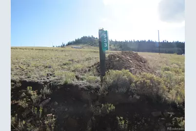 533 Cohonina Road, Hartsel, CO 80449 - Photo 19