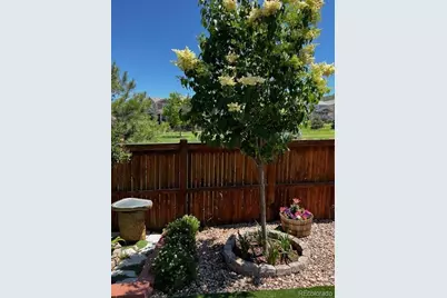 1994 Candleglow Street, Castle Rock, CO 80109 - Photo 47