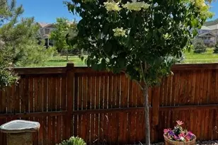 1994 Candleglow St, Castle Rock, CO 80109 - Photo 47