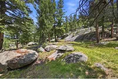32042 Horseshoe Drive, Evergreen, CO 80439 - Photo 45