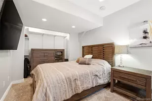 10445 Brookwood Point, Highlands Ranch, CO 80130 - Photo 23