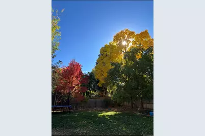 4449 S Xavier Street, Denver, CO 80236 - Photo 11