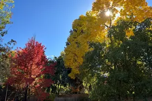 4449 S Xavier St, Denver, CO 80236 - Photo 15