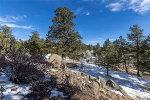 730 Cheyenne Creek, Lake George, CO 80827 - Photo 33